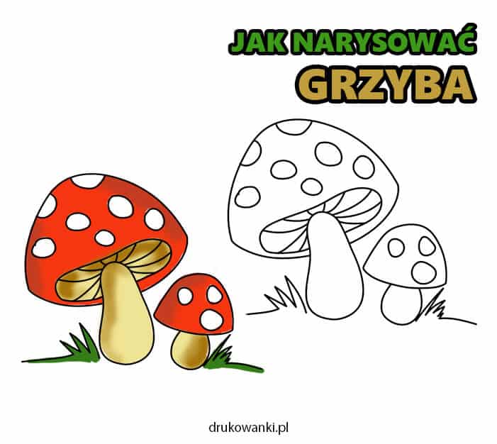 jak narysować grzyba instrukcja