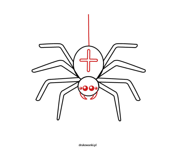 jak narysować pająka krzyżaka