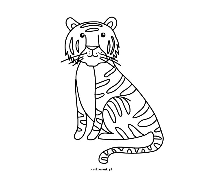 tygrys rysunek do kolorowania