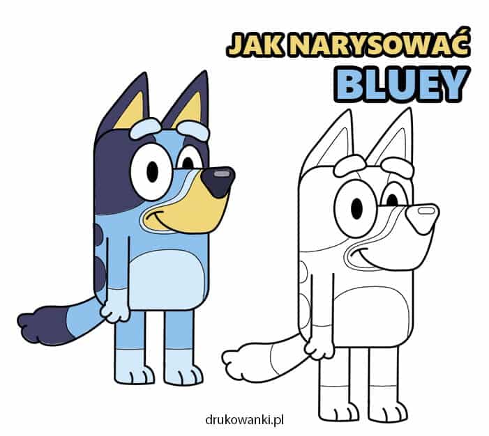 jak narysować Bluey krok po kroku