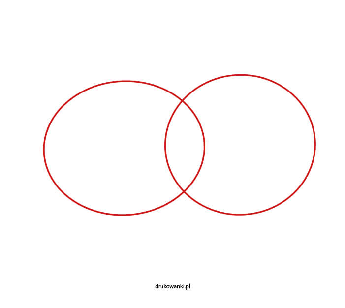 świnka morska jak narysować