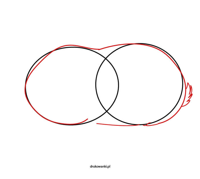rysowanie świnki morskiej