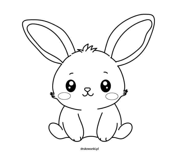 jak narysować króliczka kawaii